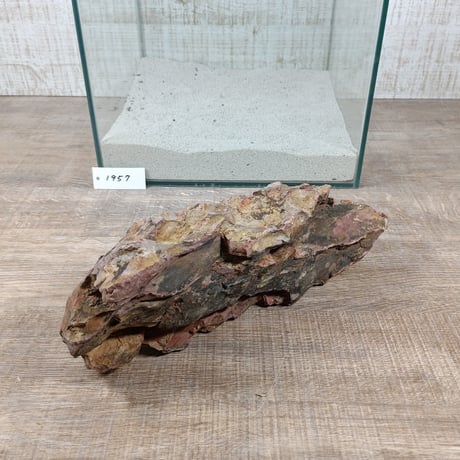 BIG気孔石　１点もの　No.1957（W約30cm)(30cm水槽）