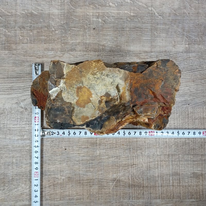 BIG木化石 NO.2089（W約21/約H18cm/約3.9kg)(30cm水槽） | 流木