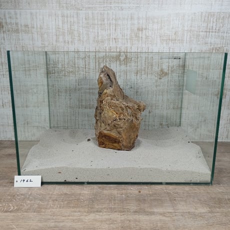 BIG木化石　NO.1962（W約23cm/H約16cm)(45cm水槽）