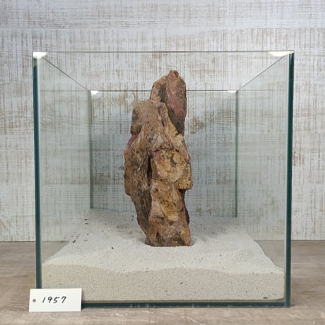 BIG気孔石　１点もの　No.1957（W約30cm)(30cm水槽）
