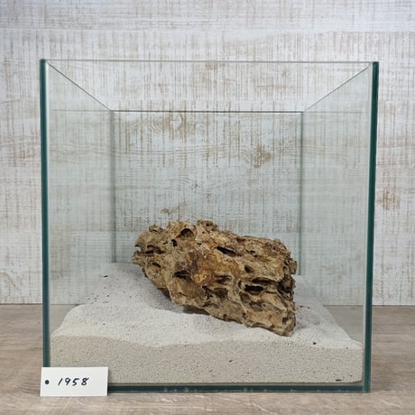 BIG気孔石　１点もの　No.1958（W約31cm)(30cm水槽）