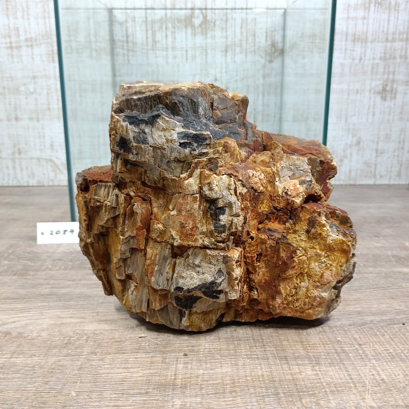 木の化石4点セット BIG木化石 NO.2089（W約21/約H18cm/約3.9kg)(30cm水槽） | 流木