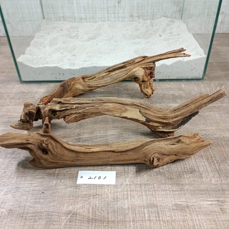 CATEGORY 45cm水槽サイズ | 流木専門店のアクアリバー/アクアリウム