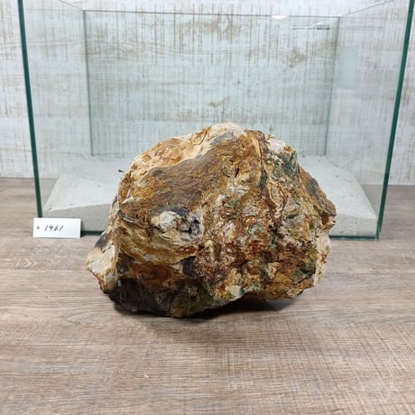 BIG木化石　NO.1961（W約21cm/H約15cm)(45cm水槽）