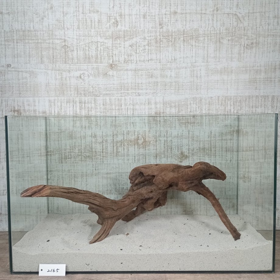 6ad5c4eec6ad7e81caada438