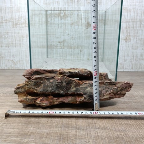BIG気孔石　１点もの　No.1957（W約30cm)(30cm水槽）
