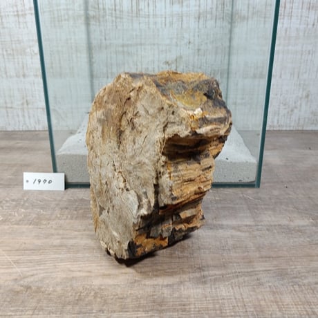 BIG木化石　NO.1970（W約16cm/H約9cm)(30cm水槽）