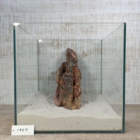 BIG気孔石　１点もの　No.1957（W約30cm)(30cm水槽）