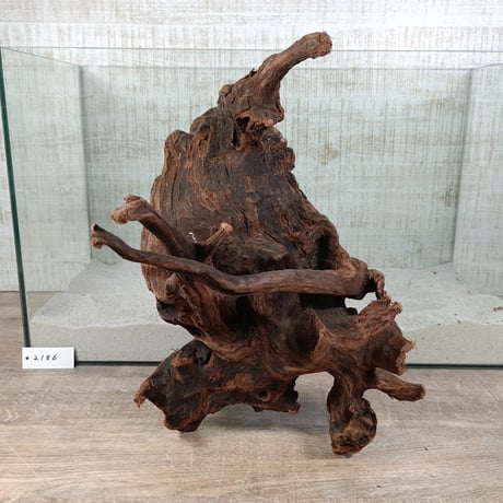 塊系マングローブ系流木  2Lから3Lサイズ　オンリーワン ★現物撮影  1点　No.2186(W約32㎝）　ずしっとしてます。  ★個性際立つオブジェ、インテリアにも★