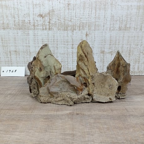 希少気孔石山  小サイズ（美型） 一点物の水槽オブジェ No. 19678 (30cm水槽)(W約18cm/H約9cm)