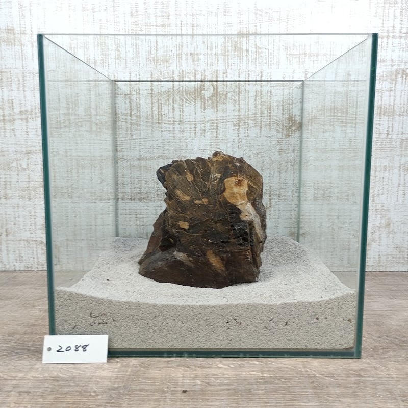 BIG木化石 NO.2088（W約19/約H17cm/約3kg)(30cm水槽） | 流木専門