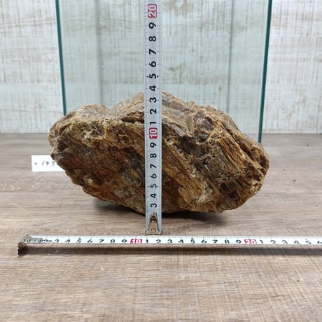 BIG木化石　NO.1971（W約22cm/H約11cm)(30cm水槽）