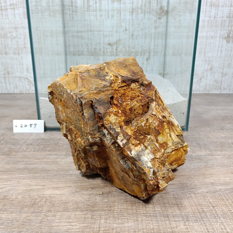 BIG木化石 NO.2087（W約18/約H16cm/約3.1kg)(30cm水槽） | 流木