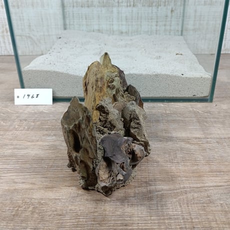 希少気孔石山  小サイズ（美型） 一点物の水槽オブジェ No. 19678 (30cm水槽)(W約18cm/H約9cm)