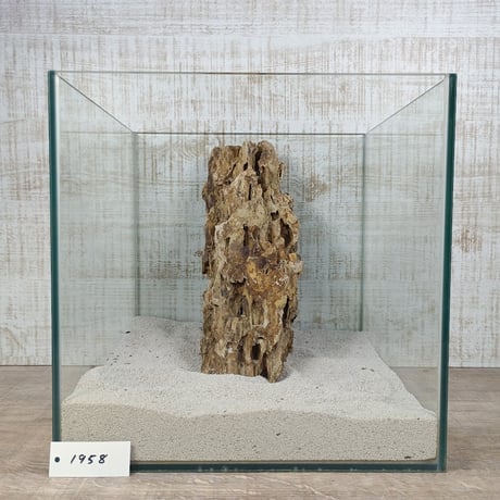 BIG気孔石　１点もの　No.1958（W約31cm)(30cm水槽）