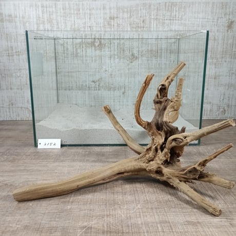 ナチュラルブランチ　Lサイズ　　NO.2152　(W約46㎝)　オンリーワン ★現物撮影 1点物