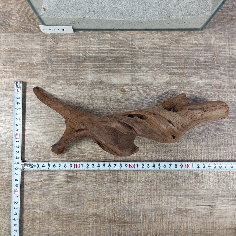マングローブ系流木 Lサイズ オンリーワン ☆現物撮影 1点 No.2123(W約
