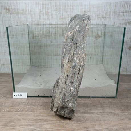 BIGドラゴンストーン　１点もの　No.1972（W約34cm/H約9㎝) (45㎝水槽)