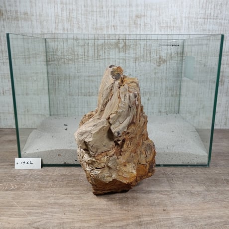 BIG木化石　NO.1962（W約23cm/H約16cm)(45cm水槽）