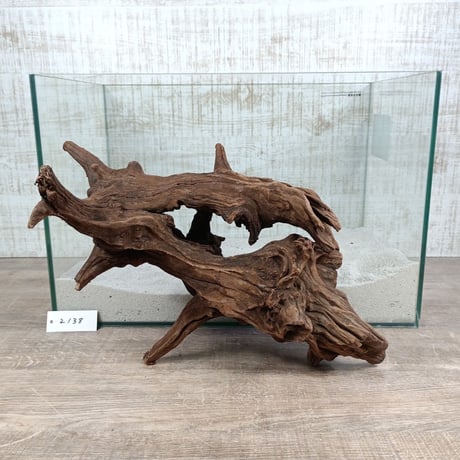 CATEGORY 水槽サイズ | 流木専門店のアクアリバー/アクアリウム