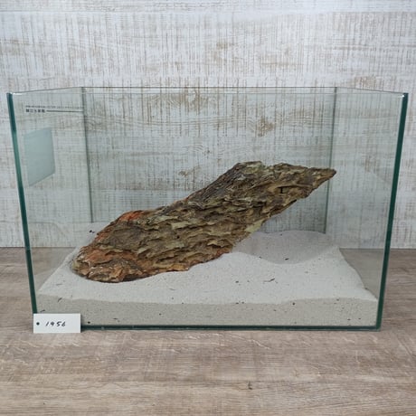 BIG気孔石　１点もの　No.1956（W約41cm)(45cm水槽）