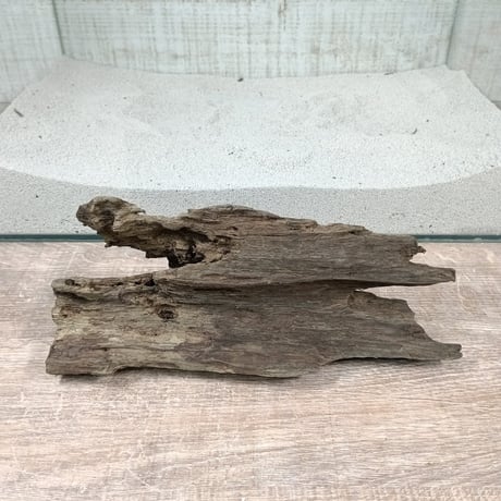 希少山型流木  　2本組　オンリーワン ★現物撮影  　No.2128(W約28㎝/約24㎝）