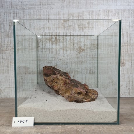 BIG気孔石　１点もの　No.1957（W約30cm)(30cm水槽）