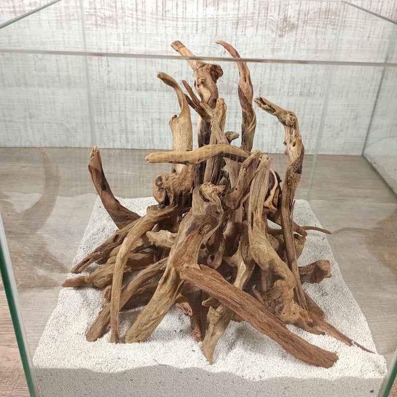 水槽用流木 自然な形状 約30cm〜50cm Amazon | 30cm水槽用 流木3本