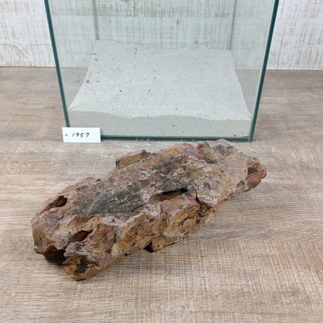 BIG気孔石　１点もの　No.1957（W約30cm)(30cm水槽）