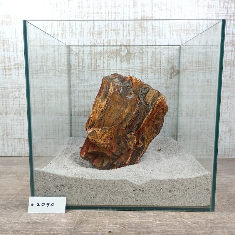BIG木化石 NO.2090（W約16/約H19cm/約3.6kg)(30cm水槽） | 流木