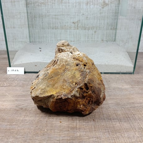 BIG木化石　NO.1962（W約23cm/H約16cm)(45cm水槽）