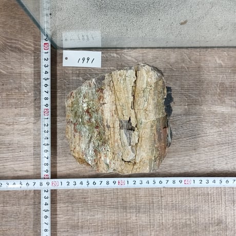 BIG木化石　NO.1991（W約13cm/H約13cm)(30cm水槽）