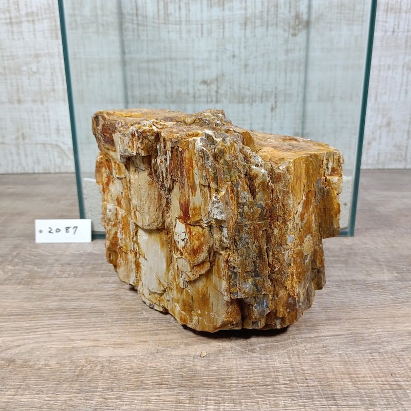 BIG木化石 NO.2087（W約18/約H16cm/約3.1kg)(30cm水槽） | 流木
