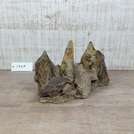 希少気孔石山  小サイズ（美型） 一点物の水槽オブジェ No. 19678 (30cm水槽)(W約18cm/H約9cm)