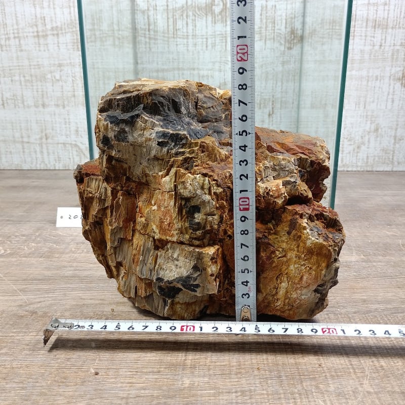 BIG木化石 NO.2089（W約21/約H18cm/約3.9kg)(30cm水槽） | 流木