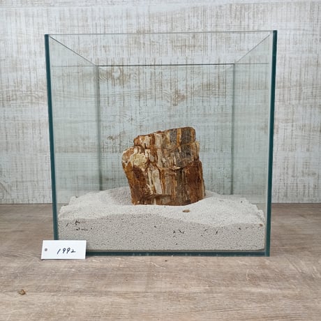 BIG木化石　NO.1992（W約13cm/H約14cm)(30cm水槽）