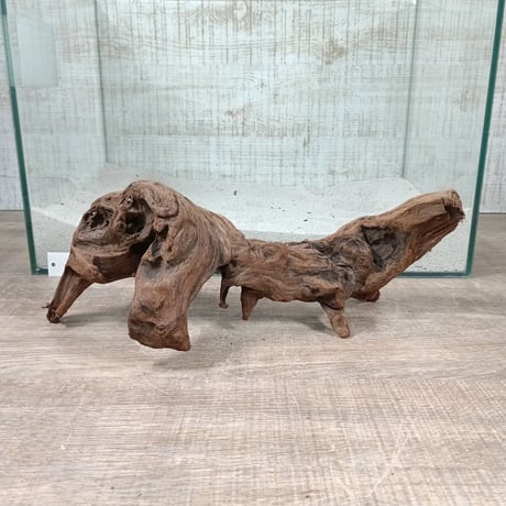 流木 ミディアムサイズ一式 CATEGORY Lサイズ | 流木専門店のアクアリバー/アクアリウム/グリーン