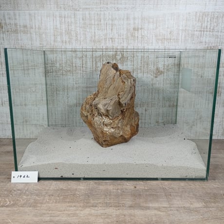 BIG木化石　NO.1962（W約23cm/H約16cm)(45cm水槽）