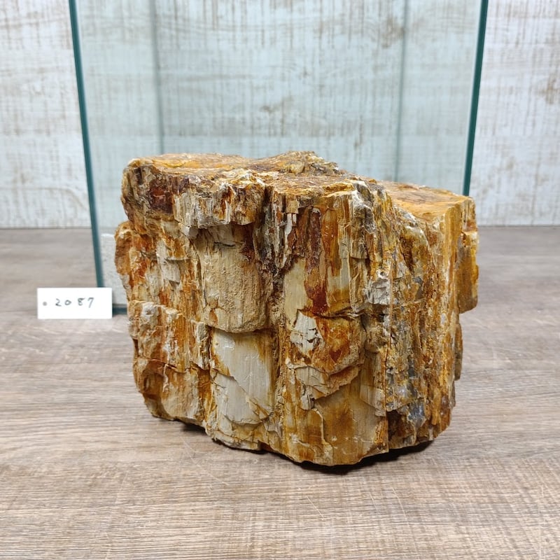 BIG木化石 NO.2087（W約18/約H16cm/約3.1kg)(30cm水槽） | 流木