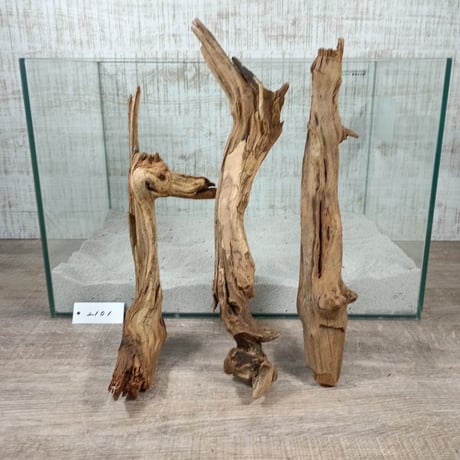 CATEGORY LONGマングローブ系 | 流木専門店のアクアリバー