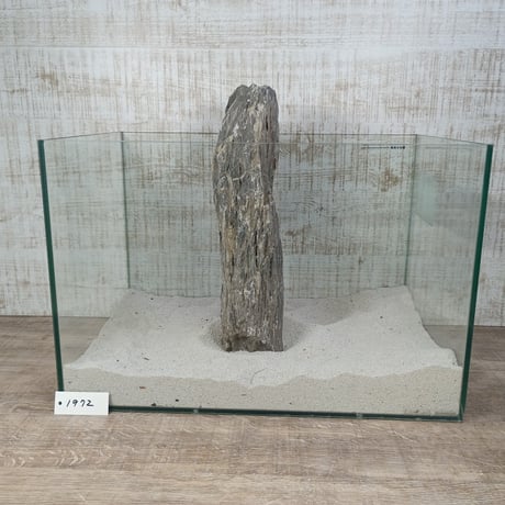 BIGドラゴンストーン　１点もの　No.1972（W約34cm/H約9㎝) (45㎝水槽)