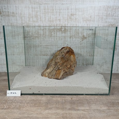 BIG木化石　NO.1962（W約23cm/H約16cm)(45cm水槽）