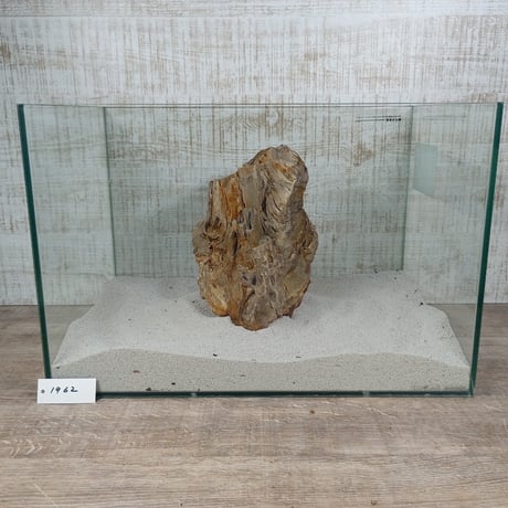 BIG木化石　NO.1962（W約23cm/H約16cm)(45cm水槽）