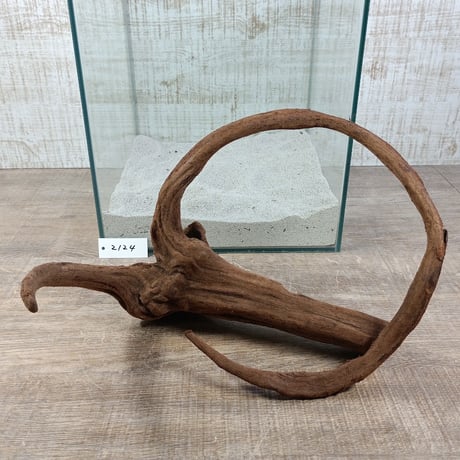 CATEGORY 水槽サイズ | 流木専門店のアクアリバー/アクアリウム