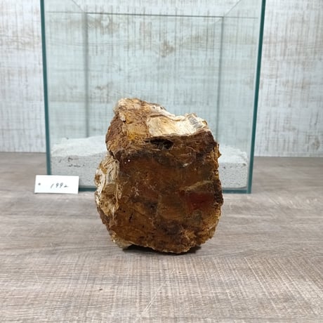 BIG木化石　NO.1992（W約13cm/H約14cm)(30cm水槽）
