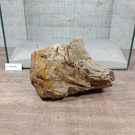 BIG木化石　NO.1962（W約23cm/H約16cm)(45cm水槽）