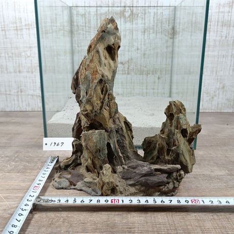 希少気孔石山（美型） 一点物の水槽オブジェ No. 1967  (30cm水槽)(W約20cm/H約25cm)
