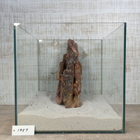 BIG気孔石　１点もの　No.1957（W約30cm)(30cm水槽）