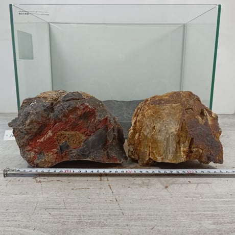 BIG木化石　2個セットNO.1622（W約21cm/W約17cm)(45cm水槽）