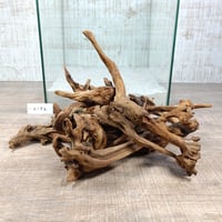 マングローブ系流木  ワイルドウッドスティックタイプ10本組　オンリーワン ★現物撮影  1点　No.2192(W約20～27㎝位）